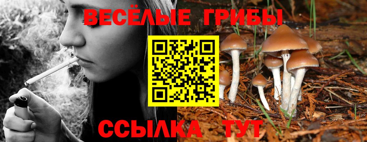 Галлюциногенные грибы Psilocybine cubensis Отрадный