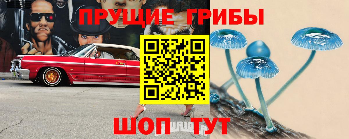 Псилоцибиновые грибы прущие грибы  Вход с VPN  Отрадный  Галлюциногенные грибы GOLDEN TEACHER 