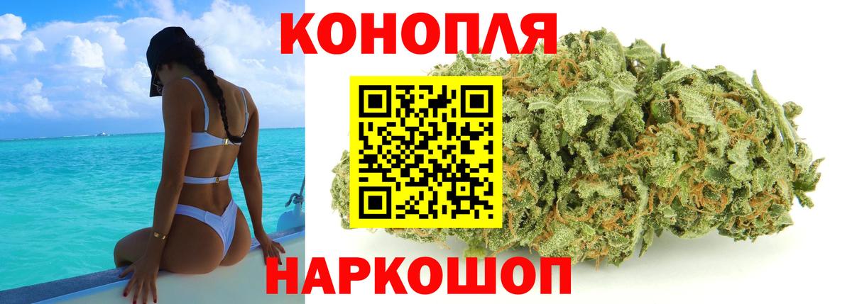 Шишки марихуана план  Канабис марихуана  Каннабис конопля  Вход с VPN  Отрадный 